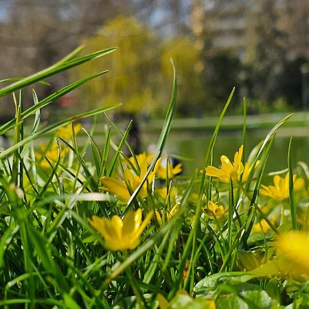 Apartament Central Park Кельце Екстер'єр фото